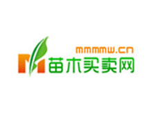 ��ľ�I(m��i)�u(m��i)�W(w��ng)