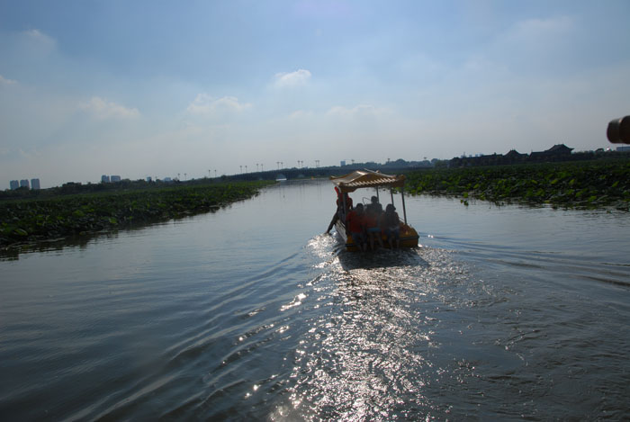 Ϧ�������ӭ�������ϰ�